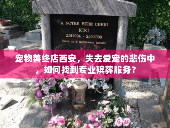 宠物善终店西安,失去爱宠的悲伤中,如何找到专业殡葬服务? 宠物善终店西安,失去爱宠的悲伤中,如何找到专业殡葬服务?