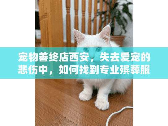 宠物善终店西安,失去爱宠的悲伤中,如何找到专业殡葬服务? 宠物善终店西安,失去爱宠的悲伤中,如何找到专业殡葬服务?