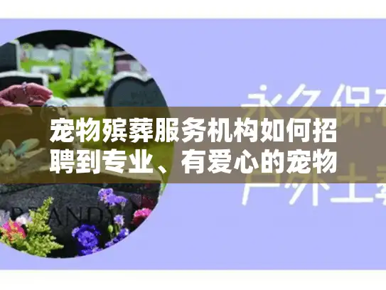 宠物殡葬服务机构如何招聘到专业、有爱心的宠物殡葬师？