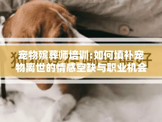 宠物殡葬师培训:如何填补宠物离世的情感空缺与职业机会?
