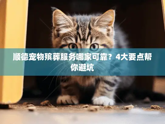 顺德宠物殡葬服务哪家可靠？4大要点帮你避坑