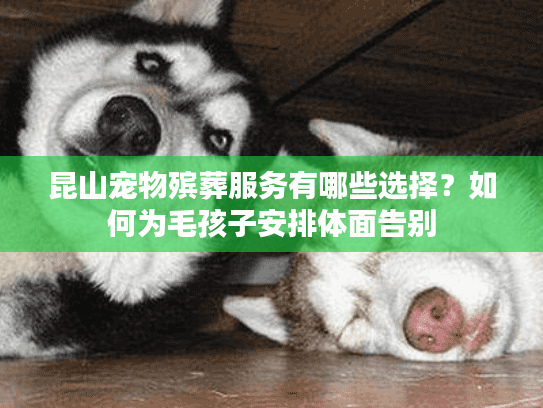 昆山宠物殡葬服务有哪些选择？如何为毛孩子安排体面告别