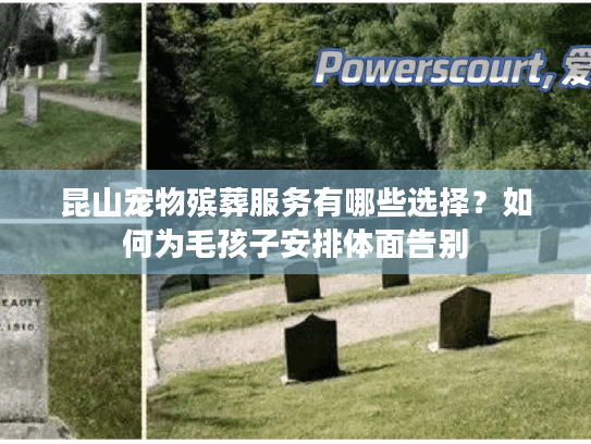 昆山宠物殡葬服务有哪些选择？如何为毛孩子安排体面告别