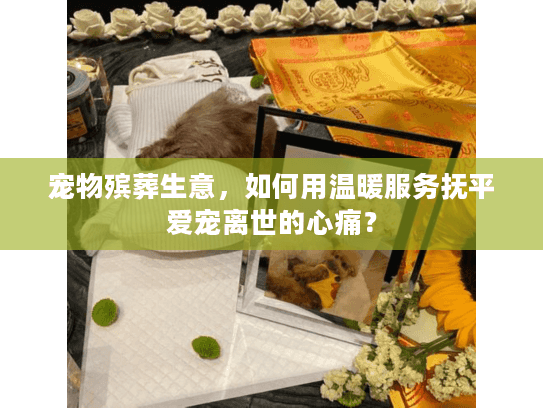 宠物殡葬生意,如何用温暖服务抚平爱宠离世的心痛? 宠物殡葬生意,如何用温暖服务抚平爱宠离世的心痛?