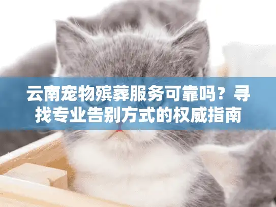 云南宠物殡葬服务可靠吗？寻找专业告别方式的权威指南