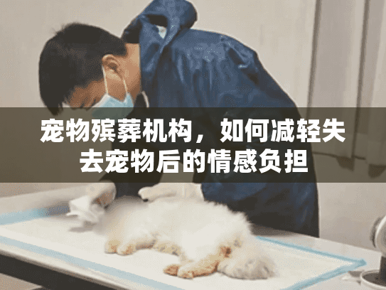 宠物殡葬机构，如何减轻失去宠物后的情感负担