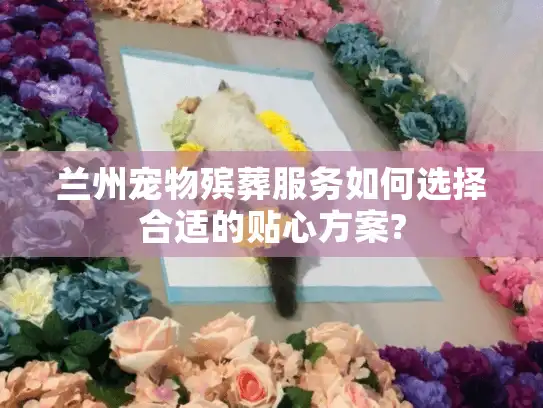 兰州宠物殡葬服务如何选择合适的贴心方案?