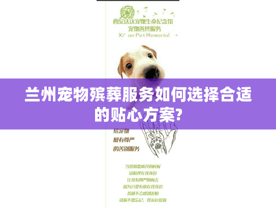 兰州宠物殡葬服务如何选择合适的贴心方案?