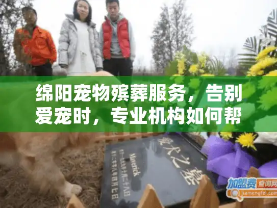 绵阳宠物殡葬服务，告别爱宠时，专业机构如何帮您安心处理？