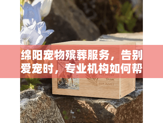 绵阳宠物殡葬服务，告别爱宠时，专业机构如何帮您安心处理？