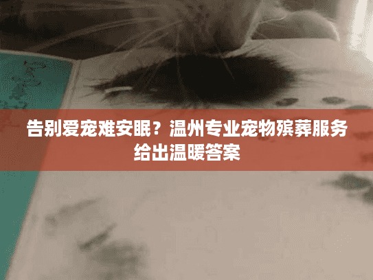 告别爱宠难安眠？温州专业宠物殡葬服务给出温暖答案