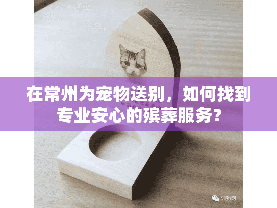 在常州为宠物送别，如何找到专业安心的殡葬服务？