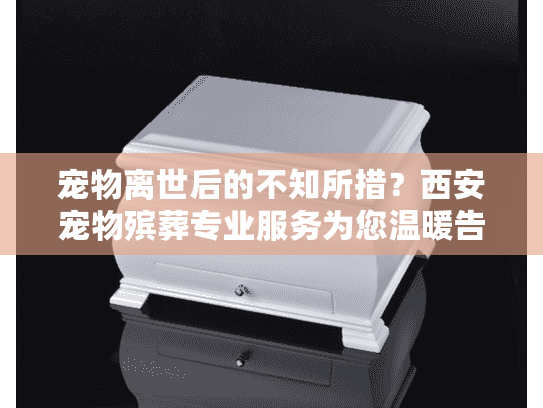 宠物离世后的不知所措?西安宠物殡葬专业服务为您温暖告别 宠物离世后的不知所措?西安宠物殡葬专业服务为您温暖告别