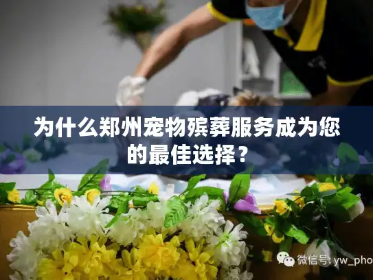 为什么郑州宠物殡葬服务成为您的最佳选择? 为什么郑州宠物殡葬服务成为您的最佳选择?