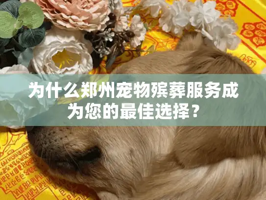 为什么郑州宠物殡葬服务成为您的最佳选择? 为什么郑州宠物殡葬服务成为您的最佳选择?