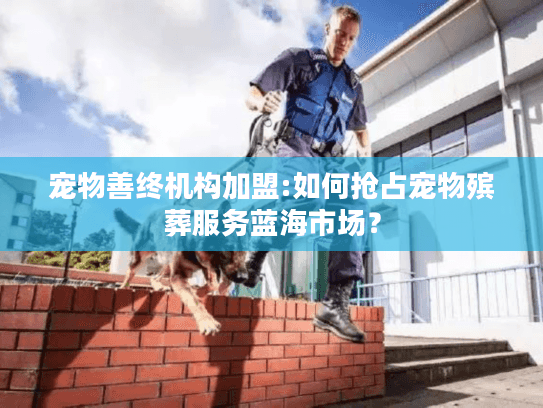 宠物善终机构加盟:如何抢占宠物殡葬服务蓝海市场？