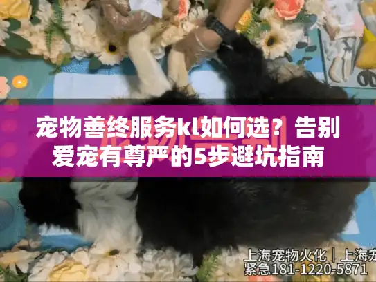 宠物善终服务kl如何选？告别爱宠有尊严的5步避坑指南