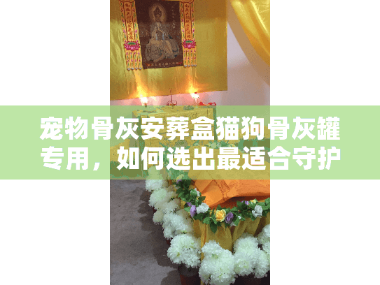 宠物骨灰安葬盒猫狗骨灰罐专用，如何选出最适合守护回忆的那一款？