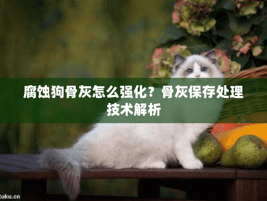 腐蚀狗骨灰怎么强化？骨灰保存处理技术解析