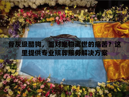 骨灰级酷狗,面对宠物离世的痛苦?这里提供专业殡葬服务解决方案 骨灰级酷狗,面对宠物离世的痛苦?这里提供专业殡葬服务解决方案