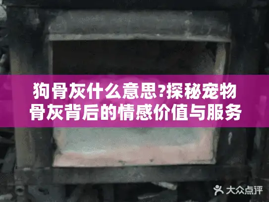狗骨灰什么意思?探秘宠物骨灰背后的情感价值与服务选择指南