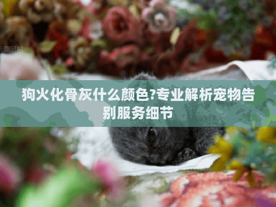 狗火化骨灰什么颜色?专业解析宠物告别服务细节