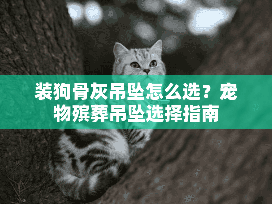 装狗骨灰吊坠怎么选？宠物殡葬吊坠选择指南