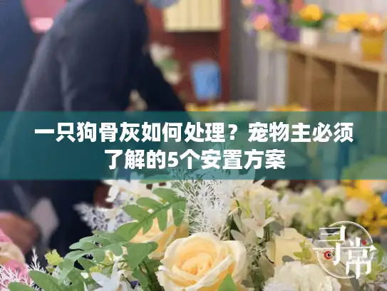 一只狗骨灰如何处理?宠物主必须了解的5个安置方案 一只狗骨灰如何处理?宠物主必须了解的5个安置方案