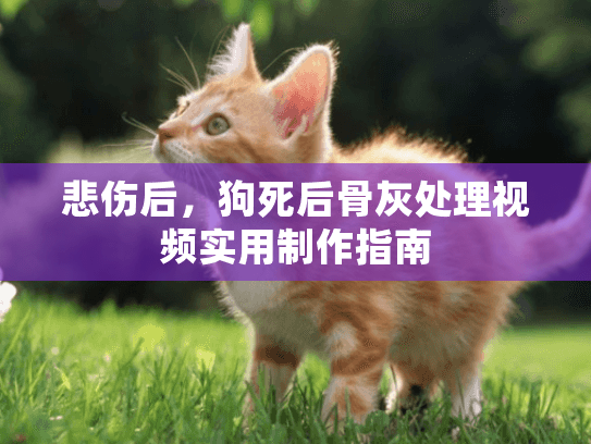 悲伤后,狗死后骨灰处理视频实用制作指南 悲伤后,狗死后骨灰处理视频实用制作指南