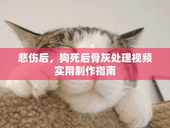 悲伤后,狗死后骨灰处理视频实用制作指南 悲伤后,狗死后骨灰处理视频实用制作指南