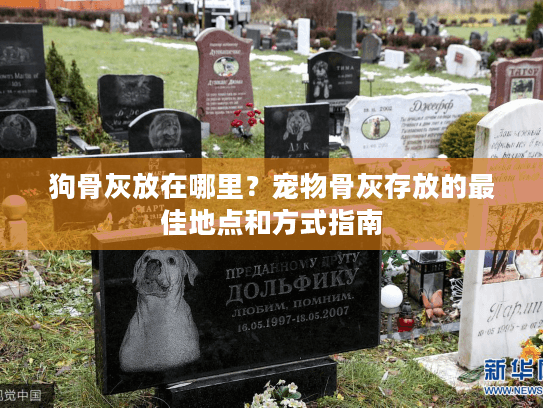 狗骨灰放在哪里?宠物骨灰存放的最佳地点和方式指南 狗骨灰放在哪里?宠物骨灰存放的最佳地点和方式指南