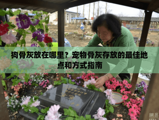 狗骨灰放在哪里?宠物骨灰存放的最佳地点和方式指南 狗骨灰放在哪里?宠物骨灰存放的最佳地点和方式指南