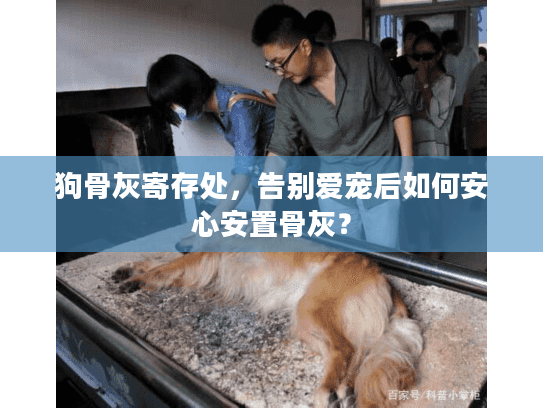 狗骨灰寄存处,告别爱宠后如何安心安置骨灰? 狗骨灰寄存处,告别爱宠后如何安心安置骨灰?