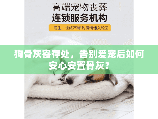 狗骨灰寄存处,告别爱宠后如何安心安置骨灰? 狗骨灰寄存处,告别爱宠后如何安心安置骨灰?