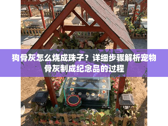 狗骨灰怎么烧成珠子？详细步骤解析宠物骨灰制成纪念品的过程