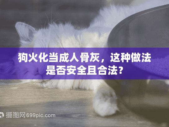 狗火化当成人骨灰,这种做法是否安全且合法? 狗火化当成人骨灰,这种做法是否安全且合法?