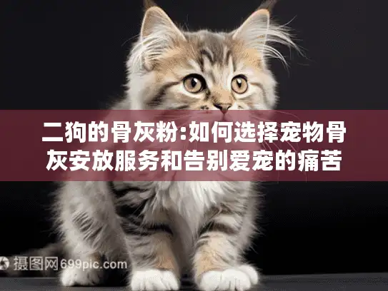 二狗的骨灰粉:如何选择宠物骨灰安放服务和告别爱宠的痛苦