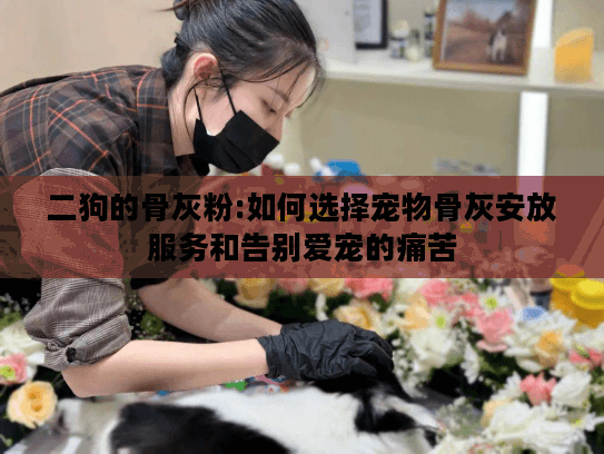 二狗的骨灰粉:如何选择宠物骨灰安放服务和告别爱宠的痛苦