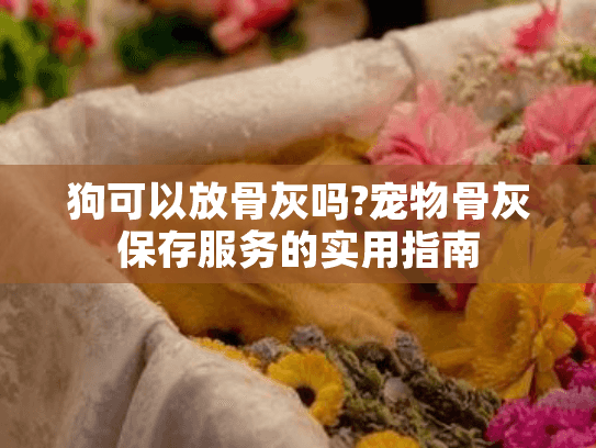 狗可以放骨灰吗?宠物骨灰保存服务的实用指南