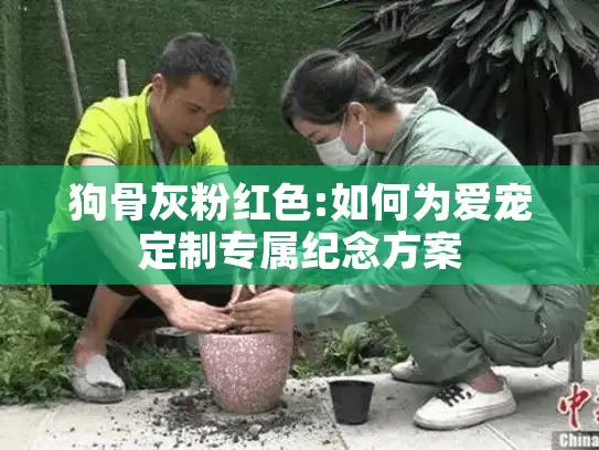 狗骨灰粉红色:如何为爱宠定制专属纪念方案