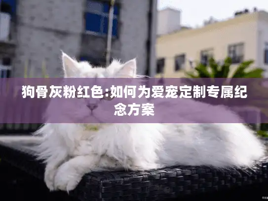 狗骨灰粉红色:如何为爱宠定制专属纪念方案