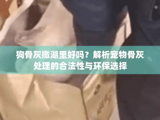 狗骨灰撒湖里好吗？解析宠物骨灰处理的合法性与环保选择