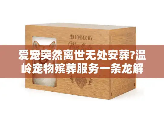爱宠突然离世无处安葬?温岭宠物殡葬服务一条龙解决方案 爱宠突然离世无处安葬?温岭宠物殡葬服务一条龙解决方案