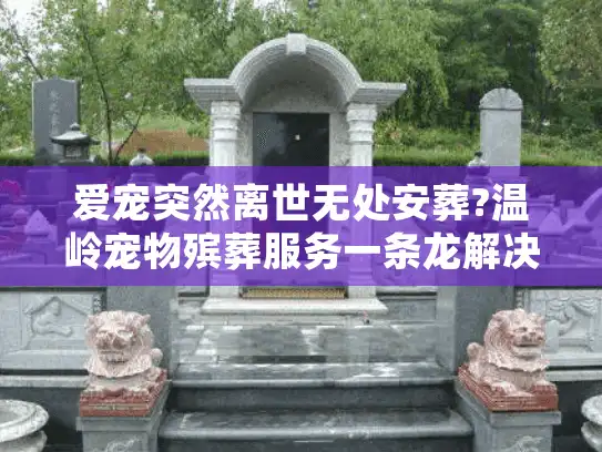爱宠突然离世无处安葬?温岭宠物殡葬服务一条龙解决方案 爱宠突然离世无处安葬?温岭宠物殡葬服务一条龙解决方案
