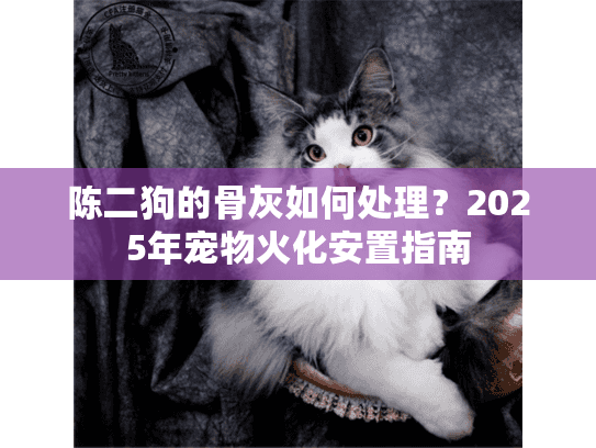 陈二狗的骨灰如何处理？2025年宠物火化安置指南