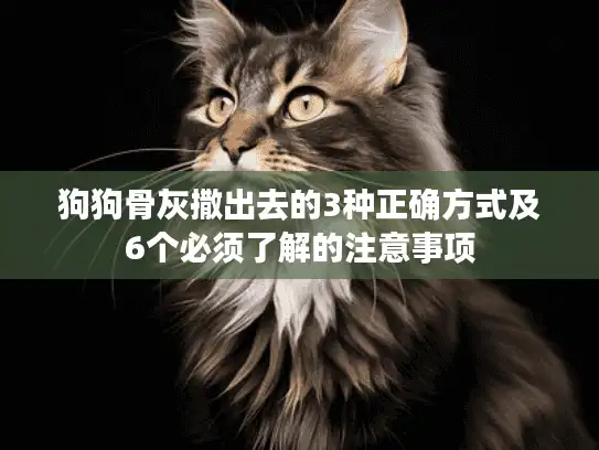 狗狗骨灰撒出去的3种正确方式及6个必须了解的注意事项 狗狗骨灰撒出去的3种正确方式及6个必须了解的注意事项