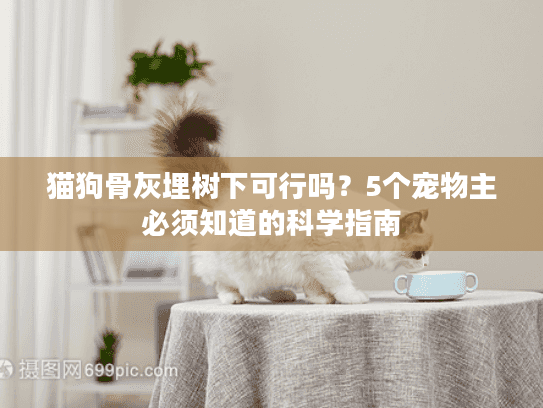 猫狗骨灰埋树下可行吗？5个宠物主必须知道的科学指南