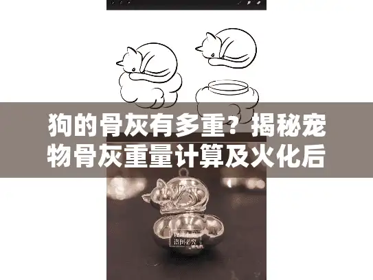 狗的骨灰有多重？揭秘宠物骨灰重量计算及火化后处理方法指南