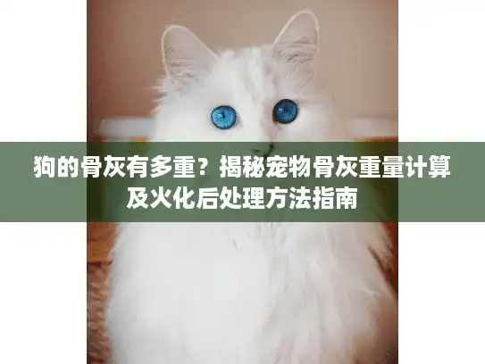 狗的骨灰有多重？揭秘宠物骨灰重量计算及火化后处理方法指南