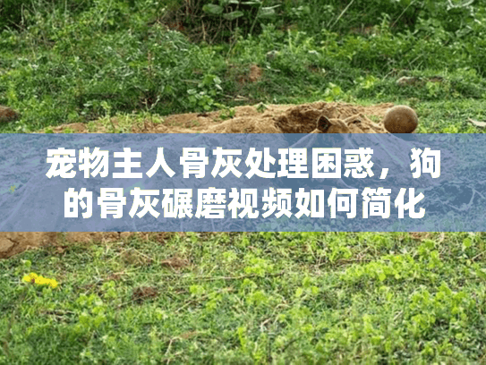 宠物主人骨灰处理困惑，狗的骨灰碾磨视频如何简化宠物殡葬服务选择？